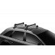 Thule SnowPack Extender